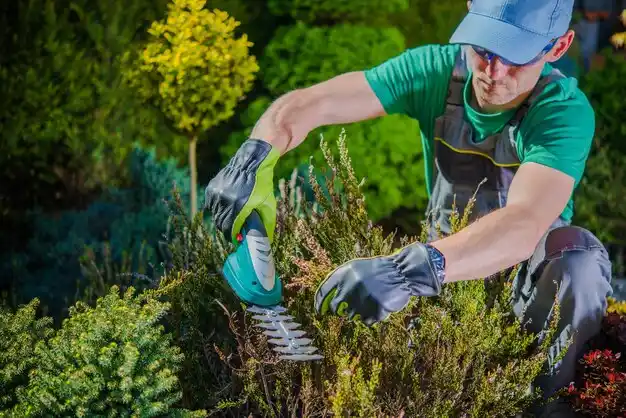 landscaping services Dowagiac